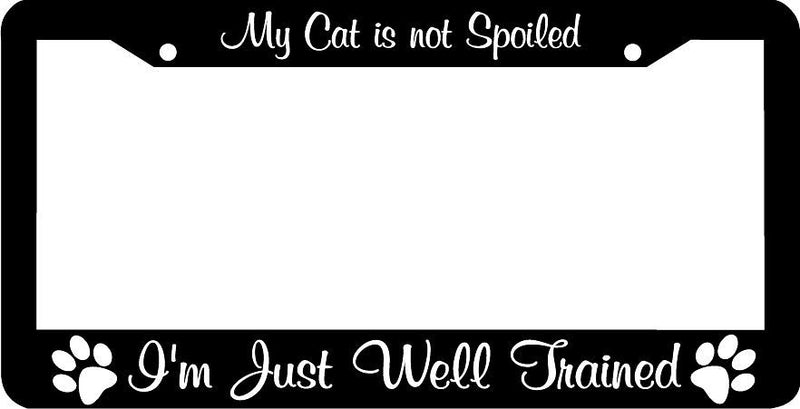 MY CAT IS NOT SPOILED I&