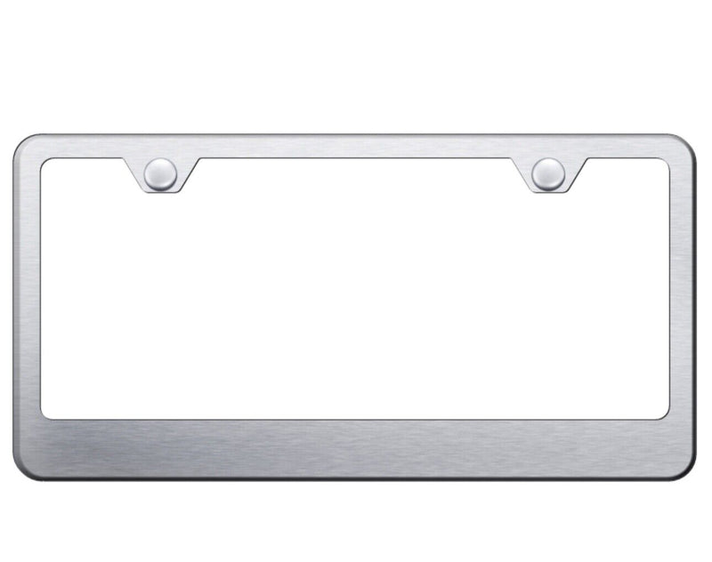 Brushed Stainless Steel 2-Hole License Plate Frame Including Hardware