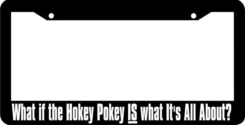 WHAT IF THE HOKEY POKEY IS WHAT IT&