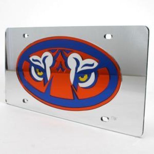 NCAA Auburn Tigers Inlaid Acrylic License Plate - Silver