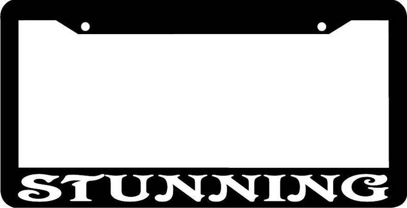 STUNNING License Plate Frame