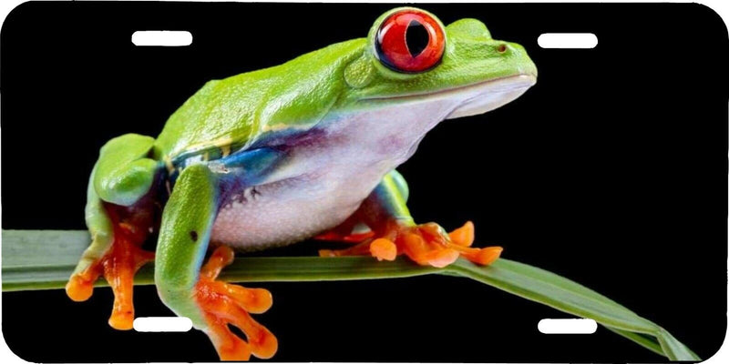 RED EYED TREE FROG TROPICAL RAINFOREST VEHICLE LICENSE PLATE TAG CAR AUTO